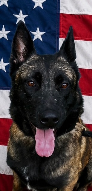 Click to view profile for Argus 